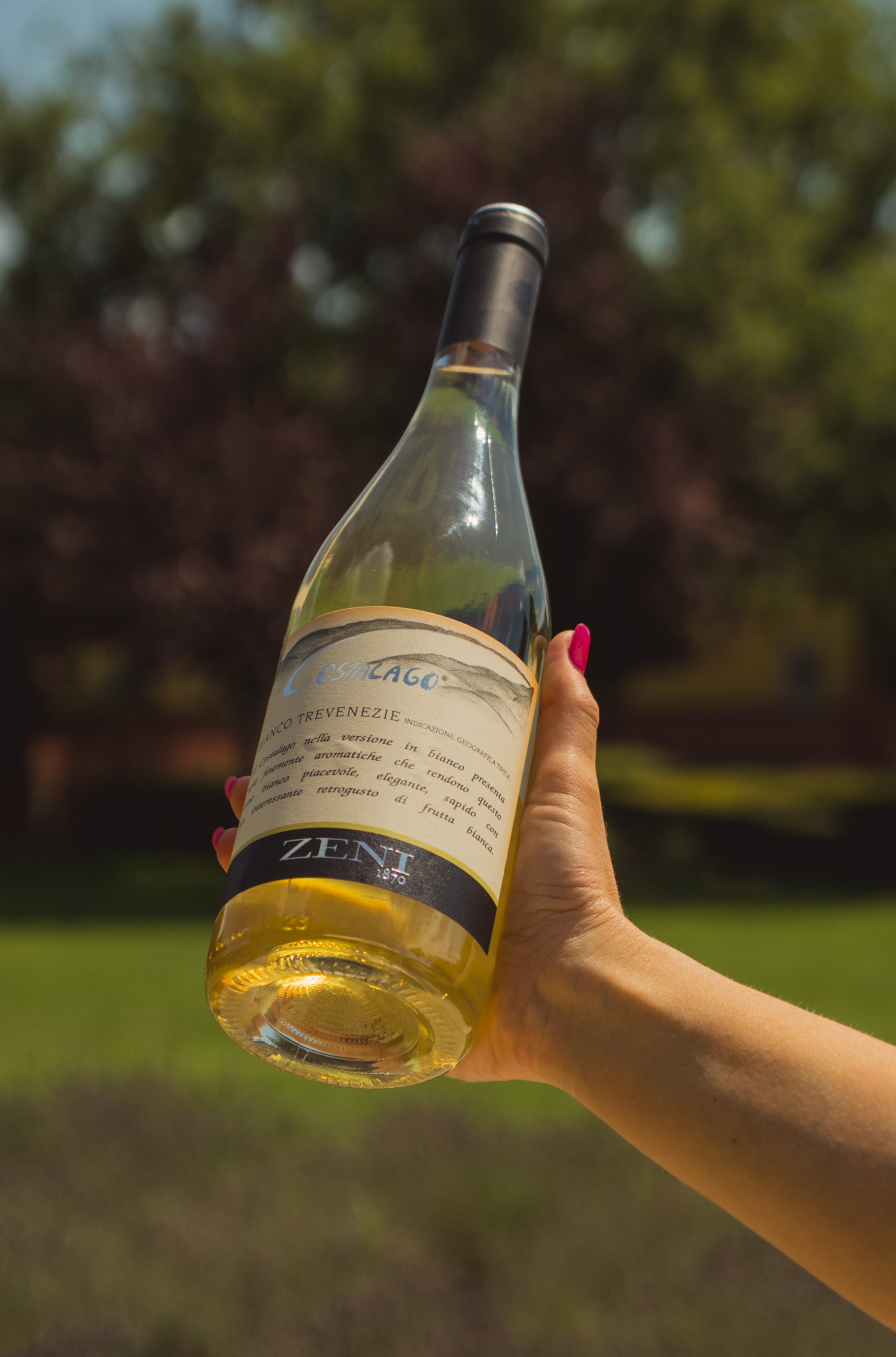 Costalago IGT Bianco delle Venezie